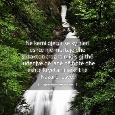 Picture 05 - Veprat e Apostujve 24:5 ALB - Ne kemi gjetur se ky njeri është një murtajë - Bible Verse Picture