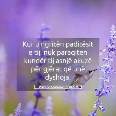 Picture 05 - Veprat e Apostujve 25:18 ALB - Kur u ngritën paditësit e tij, nuk paraqitën - Bible Verse Picture