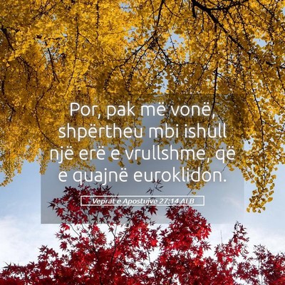Picture 05 - Veprat e Apostujve 27:14 ALB - Por, pak më vonë, shpërtheu mbi ishull një - Bible Verse Picture