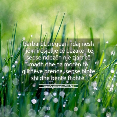 Picture 05 - Veprat e Apostujve 28:2 ALB - Barbarët treguan ndaj nesh një mirësjellje të - Bible Verse Picture