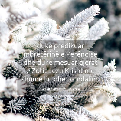 Picture 05 - Veprat e Apostujve 28:31 ALB - duke predikuar mbretërinë e Perëndisë dhe - Bible Verse Picture