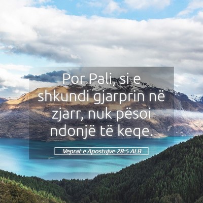 Picture 05 - Veprat e Apostujve 28:5 ALB - Por Pali, si e shkundi gjarprin në zjarr, nuk - Bible Verse Picture