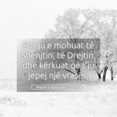 Picture 05 - Veprat e Apostujve 3:14 ALB - Por ju e mohuat të Shenjtin, të Drejtin, dhe - Bible Verse Picture