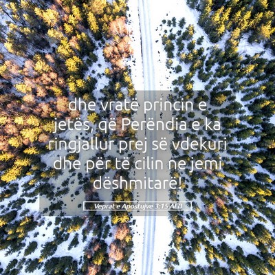 Picture 05 - Veprat e Apostujve 3:15 ALB - dhe vratë princin e jetës, që Perëndia e ka - Bible Verse Picture