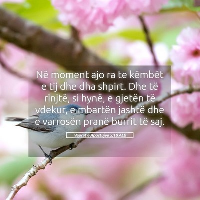 Picture 05 - Veprat e Apostujve 5:10 ALB - Në moment ajo ra te këmbët e tij dhe dha - Bible Verse Picture
