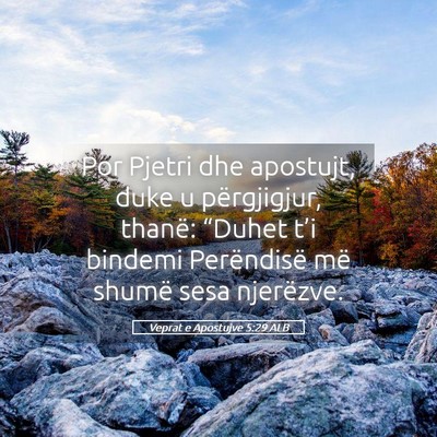 Picture 05 - Veprat e Apostujve 5:29 ALB - Por Pjetri dhe apostujt, duke u përgjigjur, - Bible Verse Picture