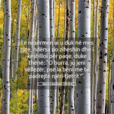 Picture 05 - Veprat e Apostujve 7:26 ALB - Të nesërmen ai u duk në mes tyre, ndërsa po - Bible Verse Picture