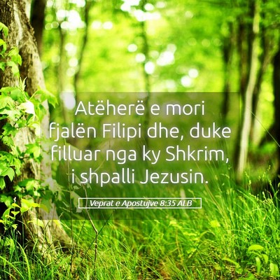 Picture 05 - Veprat e Apostujve 8:35 ALB - Atëherë e mori fjalën Filipi dhe, duke filluar - Bible Verse Picture