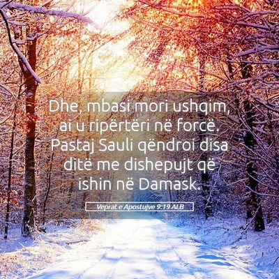 Picture 05 - Veprat e Apostujve 9:19 ALB - Dhe, mbasi mori ushqim, ai u ripërtëri në - Bible Verse Picture