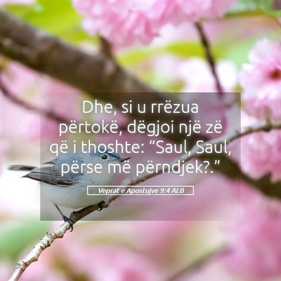 Picture 05 - Veprat e Apostujve 9:4 ALB - Dhe, si u rrëzua përtokë, dëgjoi një zë që - Bible Verse Picture