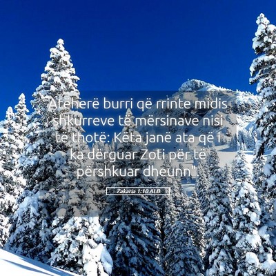 Picture 05 - Zakaria 1:10 ALB - Atëherë burri që rrinte midis shkurreve të - Bible Verse Picture