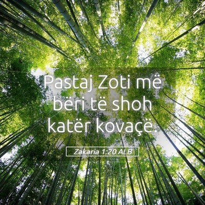 Picture 05 - Zakaria 1:20 ALB - Pastaj Zoti më bëri të shoh katër - Bible Verse Picture