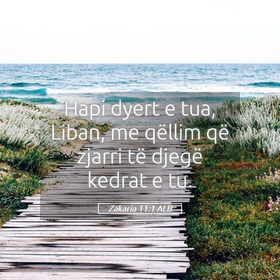 Picture 05 - Zakaria 11:1 ALB - Hapi dyert e tua, Liban, me qëllim që zjarri - Bible Verse Picture