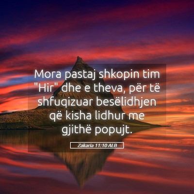 Picture 05 - Zakaria 11:10 ALB - Mora pastaj shkopin tim 