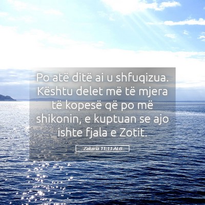 Picture 05 - Zakaria 11:11 ALB - Po atë ditë ai u shfuqizua. Kështu delet më - Bible Verse Picture