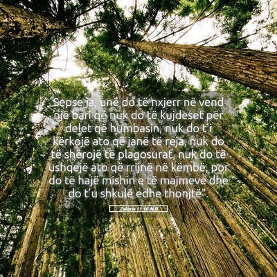 Picture 05 - Zakaria 11:16 ALB - Sepse ja, unë do të nxjerr në vend një bari - Bible Verse Picture
