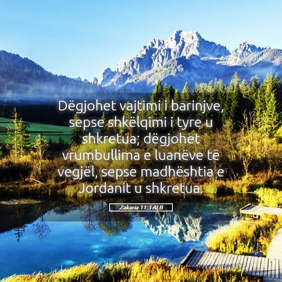 Picture 05 - Zakaria 11:3 ALB - Dëgjohet vajtimi i barinjve, sepse shkëlqimi i - Bible Verse Picture