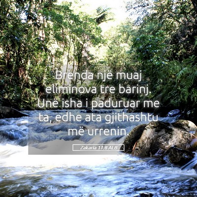 Picture 05 - Zakaria 11:8 ALB - Brenda një muaj eliminova tre barinj. Unë isha - Bible Verse Picture