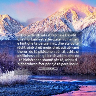 Picture 05 - Zakaria 12:10 ALB - 