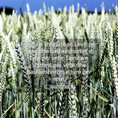 Picture 05 - Zakaria 12:13 ALB - familja e shtëpisë së Levit për vete dhe - Bible Verse Picture