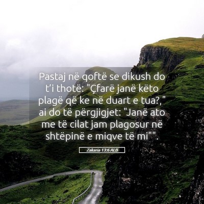 Picture 05 - Zakaria 13:6 ALB - Pastaj në qoftë se dikush do t’i thotë: - Bible Verse Picture