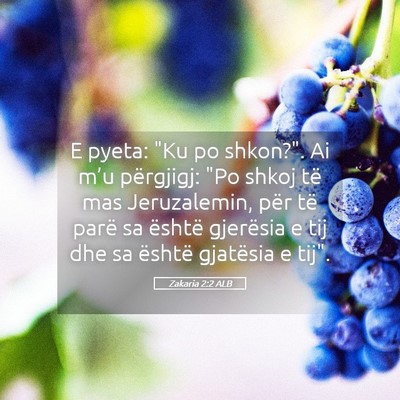 Picture 05 - Zakaria 2:2 ALB - E pyeta: 