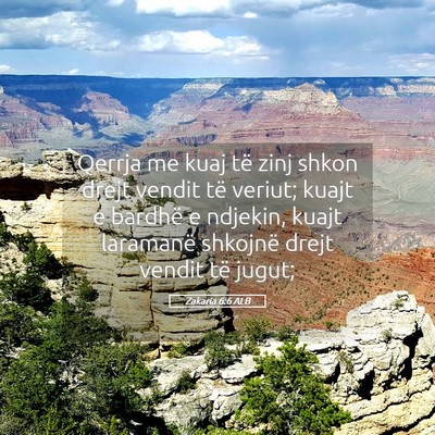 Picture 05 - Zakaria 6:6 ALB - Qerrja me kuaj të zinj shkon drejt vendit të - Bible Verse Picture