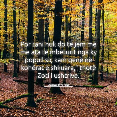 Picture 05 - Zakaria 8:11 ALB - Por tani nuk do të jem më me ata të mbeturit - Bible Verse Picture