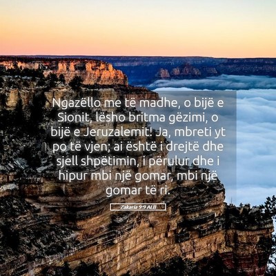 Picture 05 - Zakaria 9:9 ALB - Ngazëllo me të madhe, o bijë e Sionit, lësho - Bible Verse Picture