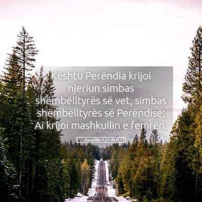 Picture 05 - Zanafilla 1:27 ALB - Kështu Perëndia krijoi njeriun simbas - Bible Verse Picture