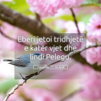 Picture 05 - Zanafilla 11:16 ALB - Eberi jetoi tridhjetë e katër vjet dhe lindi - Bible Verse Picture