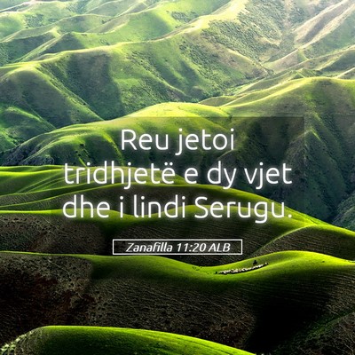 Picture 05 - Zanafilla 11:20 ALB - Reu jetoi tridhjetë e dy vjet dhe i lindi - Bible Verse Picture