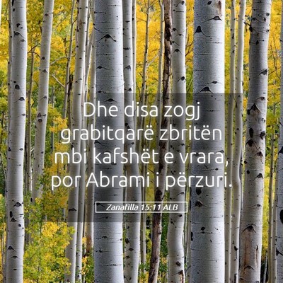 Picture 05 - Zanafilla 15:11 ALB - Dhe disa zogj grabitqarë zbritën mbi kafshët e - Bible Verse Picture