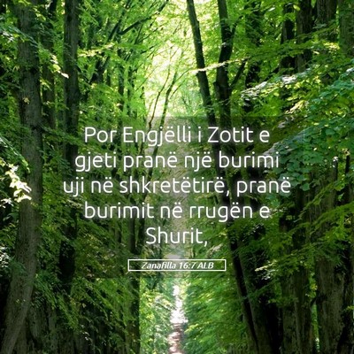 Picture 05 - Zanafilla 16:7 ALB - Por Engjëlli i Zotit e gjeti pranë një burimi - Bible Verse Picture