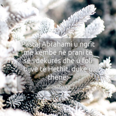 Picture 05 - Zanafilla 23:3 ALB - Pastaj Abrahami u ngrit më këmbë në prani të - Bible Verse Picture