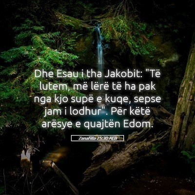 Picture 05 - Zanafilla 25:30 ALB - Dhe Esau i tha Jakobit: 