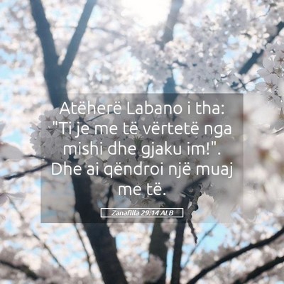 Picture 05 - Zanafilla 29:14 ALB - Atëherë Labano i tha: 