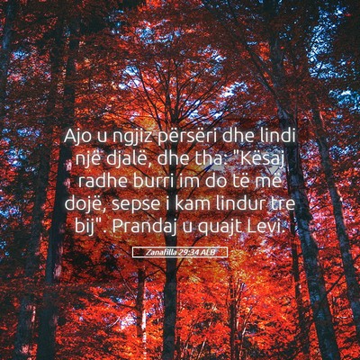 Picture 05 - Zanafilla 29:34 ALB - Ajo u ngjiz përsëri dhe lindi një djalë, dhe - Bible Verse Picture