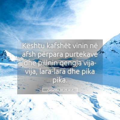 Picture 05 - Zanafilla 30:39 ALB - Kështu kafshët vinin në afsh përpara - Bible Verse Picture