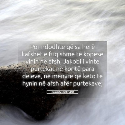 Picture 05 - Zanafilla 30:41 ALB - Por ndodhte që sa herë kafshët e fuqishme të - Bible Verse Picture