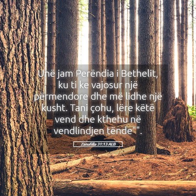 Picture 05 - Zanafilla 31:13 ALB - Unë jam Perëndia i Bethelit, ku ti ke vajosur - Bible Verse Picture