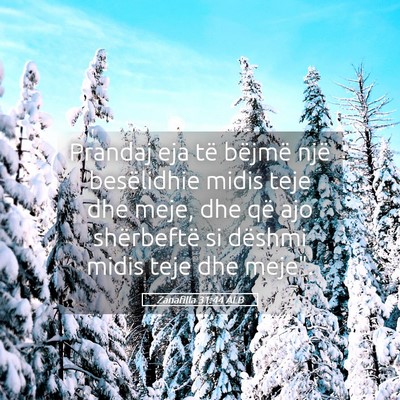 Picture 05 - Zanafilla 31:44 ALB - Prandaj eja të bëjmë një besëlidhie midis - Bible Verse Picture