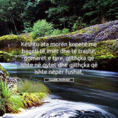 Picture 05 - Zanafilla 34:28 ALB - Kështu ata morën kopetë me bagëti të imët - Bible Verse Picture