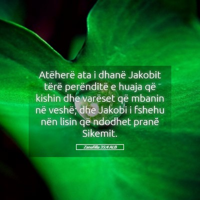 Picture 05 - Zanafilla 35:4 ALB - Atëherë ata i dhanë Jakobit tërë perënditë - Bible Verse Picture