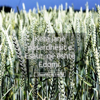 Picture 05 - Zanafilla 36:1 ALB - Këta janë pasardhësit e Esaut, që është - Bible Verse Picture