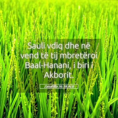 Picture 05 - Zanafilla 36:38 ALB - Sauli vdiq dhe në vend të tij mbretëroi - Bible Verse Picture