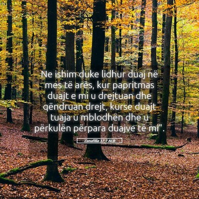Picture 05 - Zanafilla 37:7 ALB - Ne ishim duke lidhur duaj në mes të arës, kur - Bible Verse Picture