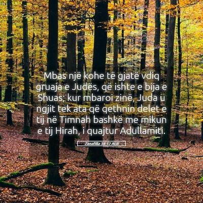 Picture 05 - Zanafilla 38:12 ALB - Mbas një kohe të gjatë vdiq gruaja e Judës, - Bible Verse Picture