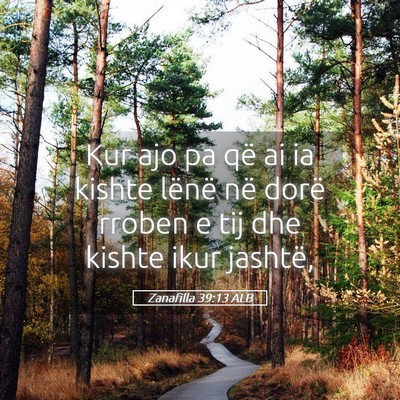 Picture 05 - Zanafilla 39:13 ALB - Kur ajo pa që ai ia kishte lënë në dorë - Bible Verse Picture