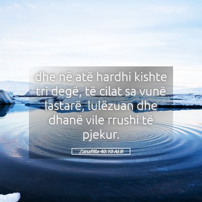Picture 05 - Zanafilla 40:10 ALB - dhe në atë hardhi kishte tri degë, të cilat - Bible Verse Picture